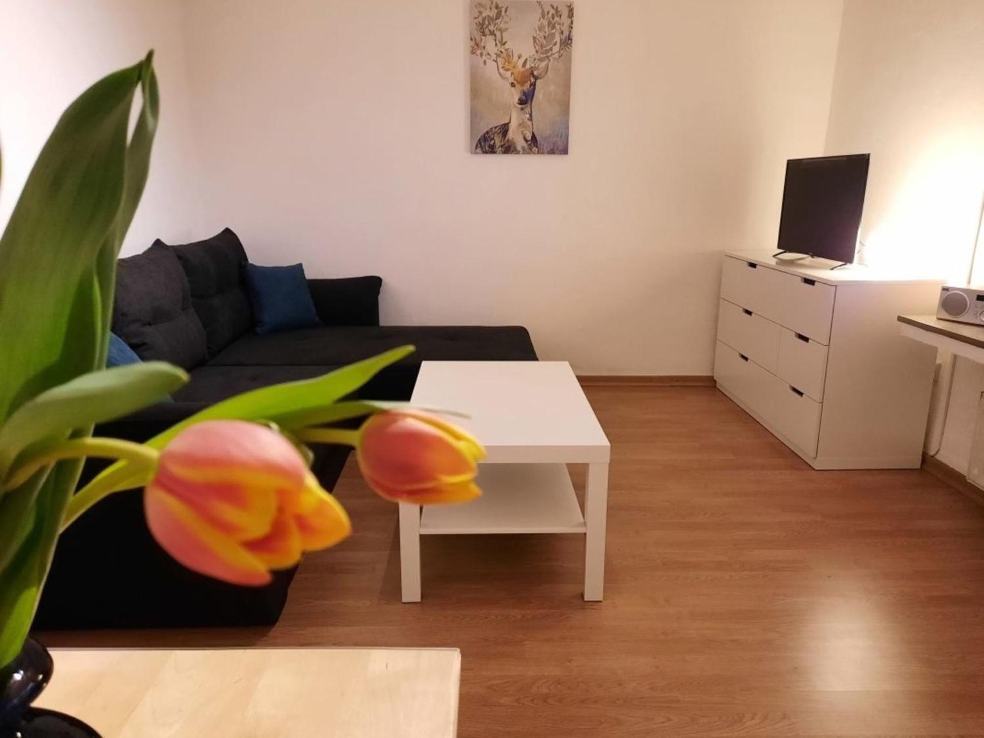 Nelke63 Διαμέρισμα Nordhorn Εξωτερικό φωτογραφία